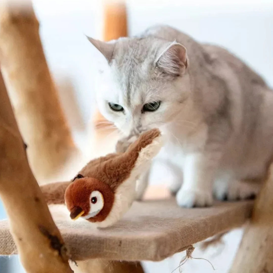 BirdToy